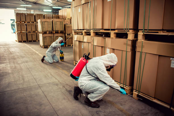Best Bed Bug Extermination  in Fuquay Varina, NC