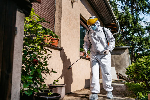 Best Best Pest Control Near Me  in Fuquay Varina, NC
