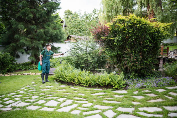 Best Residential Pest Control  in Fuquay Varina, NC