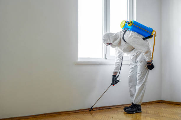 Best Residential Pest Control  in Fuquay Varina, NC