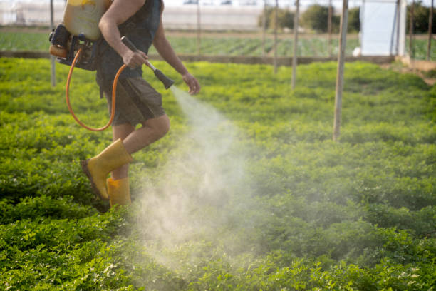 Pest Control Cost in Fuquay Varina, NC
