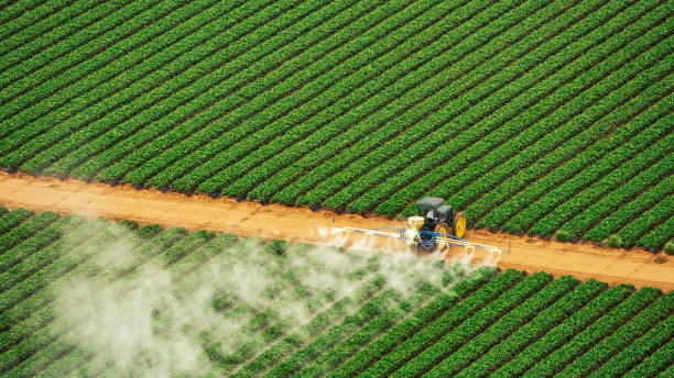 Best Ant Control Services  in Fuquay Varina, NC