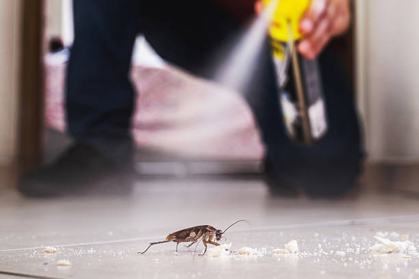 Best Flea Control Services  in Fuquay Varina, NC