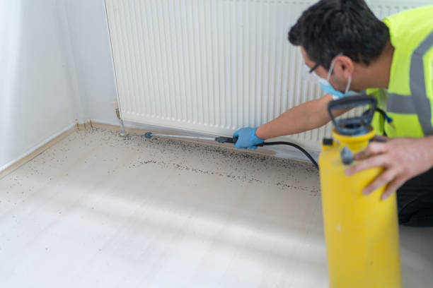 Best Affordable Pest Control Services  in Fuquay Varina, NC