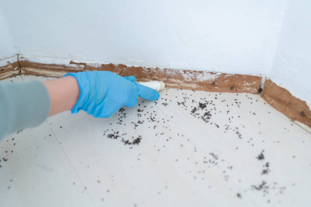 Best Best Pest Control Companies  in Fuquay Varina, NC